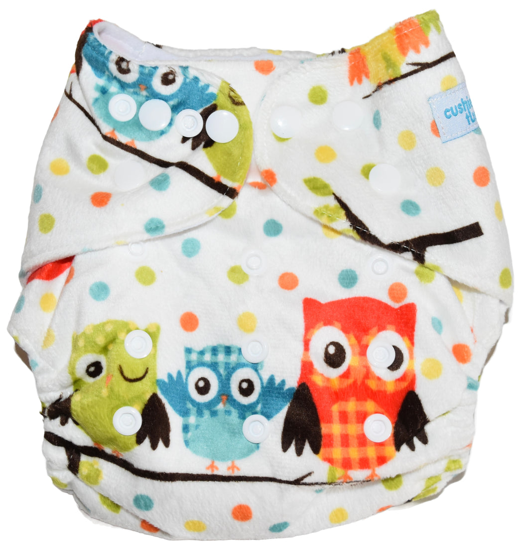 Owl